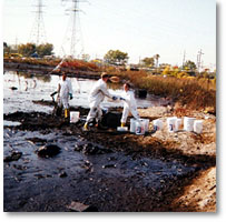 Scientists sampling an oil-spill