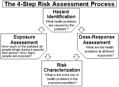Proceso de evaluación de riesgo