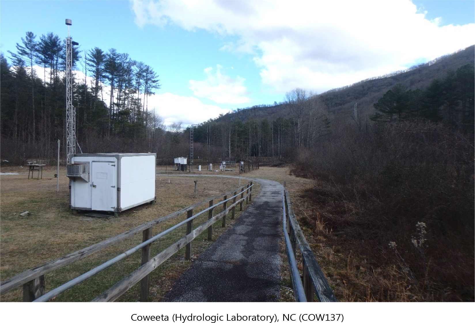 Coweeta (Hydrologic Laboratory), NC (COW137) 