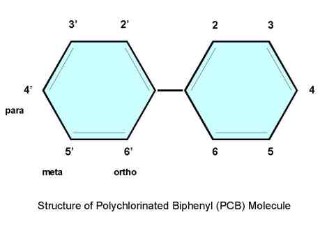 Structure of Polychlorinated Biphenyl (PCB) Molecule