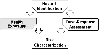 Risk Assessment Process