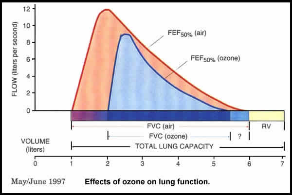 Graph depicting the effects of ozone on lung function. Ozone reduces the maximum inspiratory position and may slightly reduce the maximum expiratory position.