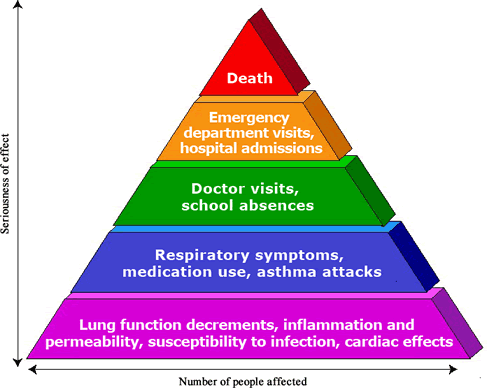 Figure 2:Pyramid of effects caused by ozone