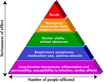 Figure 1: Pyramid of effects caused by ozone. 